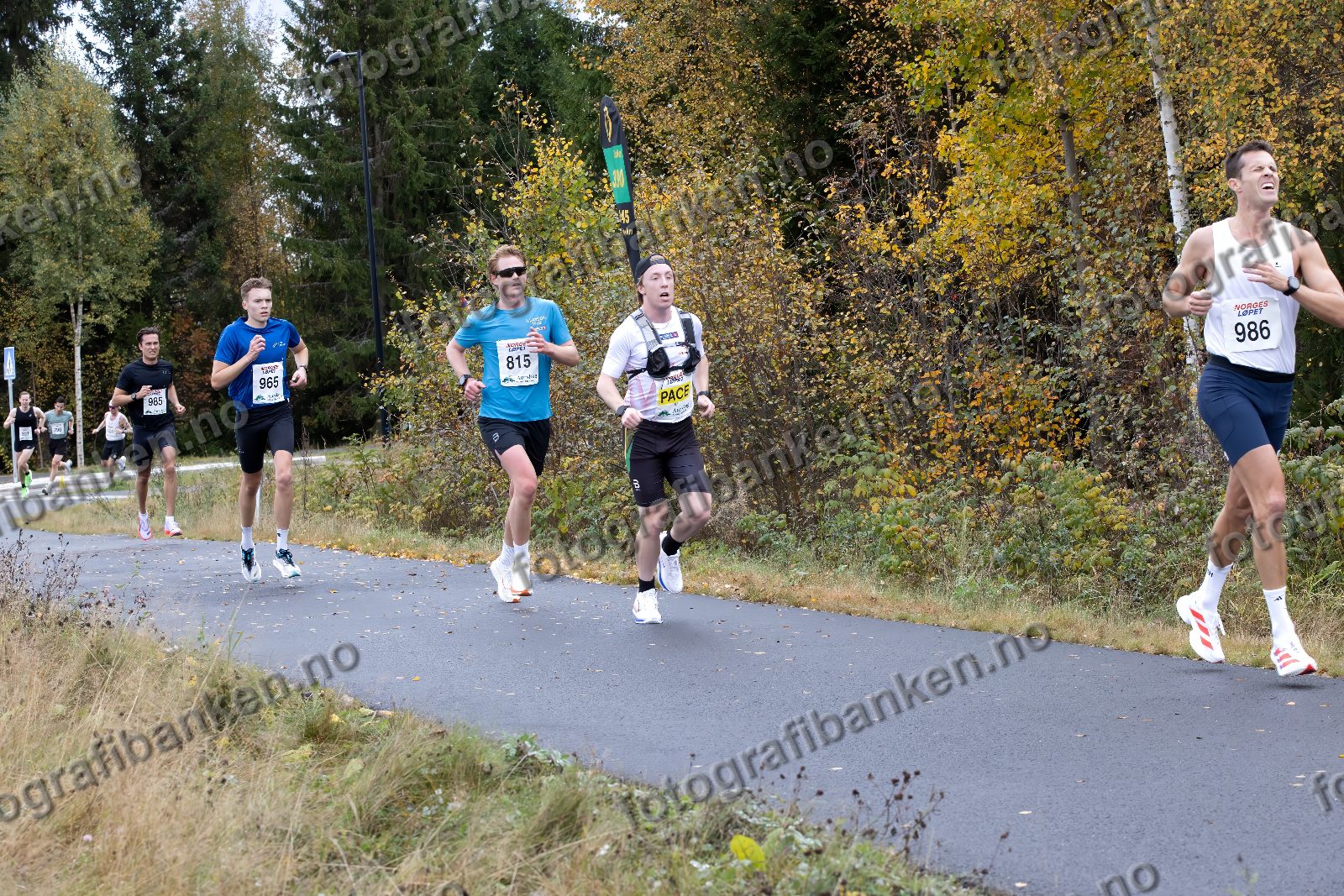 Filip Amundsen (965) · Ulrik Baksjøberget (815) · Fredrik Wehinger (986)
