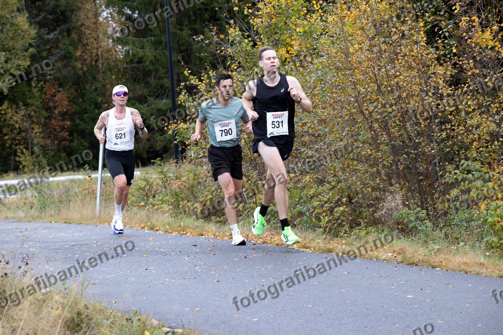 Henrik Hoel Brunvoll (531) · Jacob Anfinnsen Thon (621) · Torstein Råbøl Mæhlum (790)
