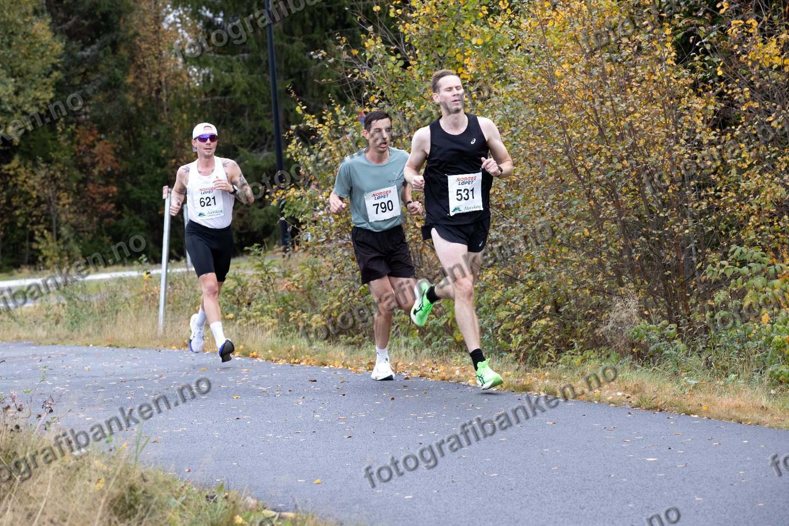 Henrik Hoel Brunvoll (531) · Jacob Anfinnsen Thon (621) · Torstein Råbøl Mæhlum (790)
