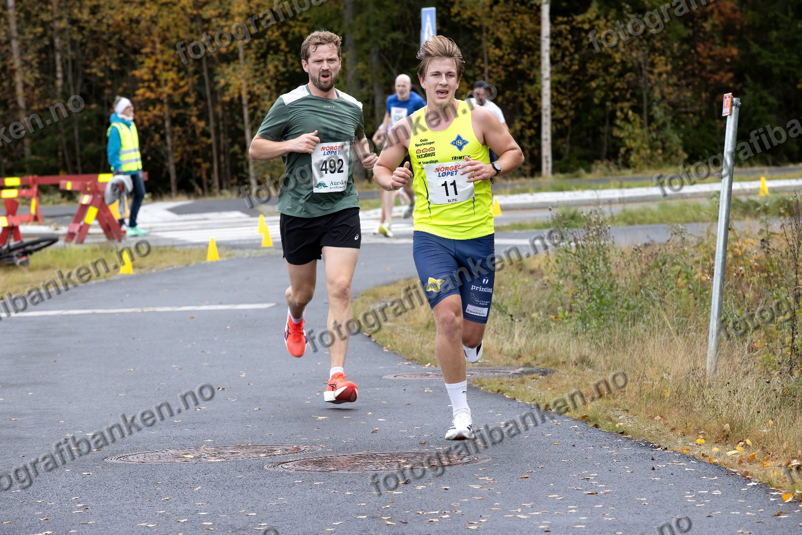 Martin Kvam (492) · Leon Albrecht-Holberg (11)