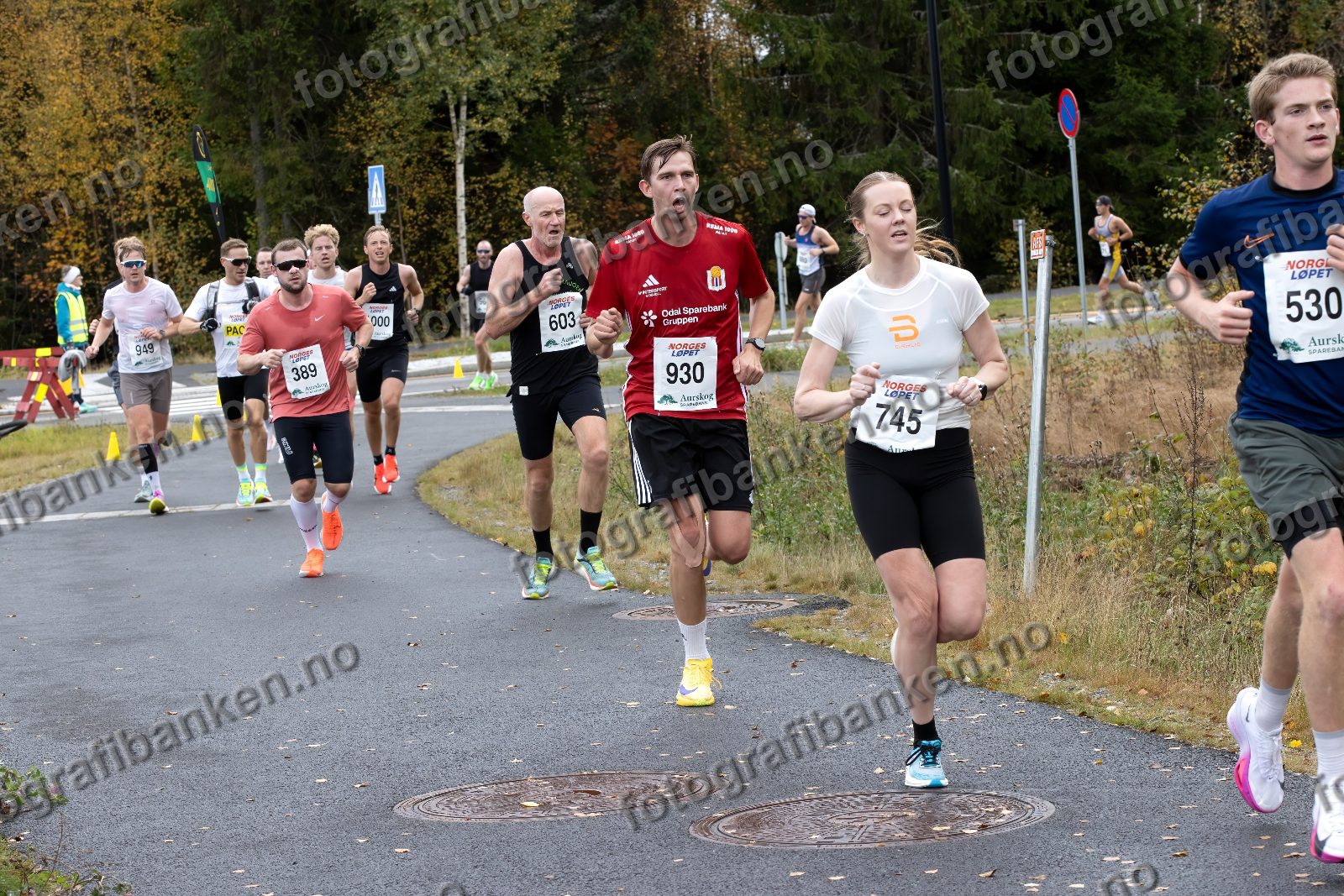 Daniel Olsen (930) · Jørgen Moe (389) · André Borka (603) · Mathilde Lutnæs (745) · Joakim Kolobekken (530)