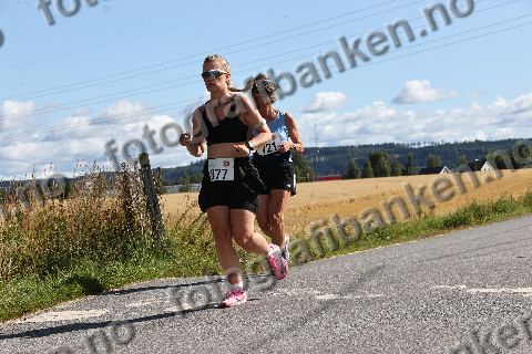 Maren Eline Høibråten (877)