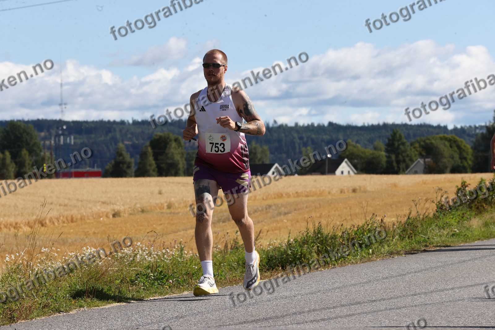 Eirik Nedregård (753)