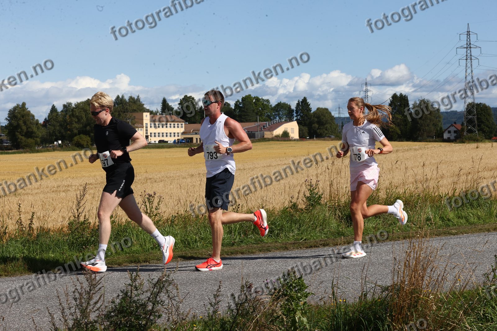 Fabian Andersen (793)