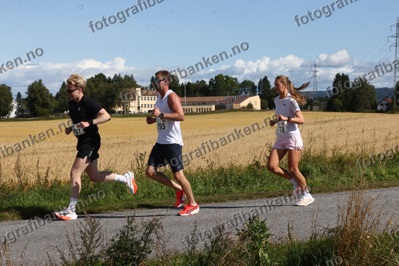 Fabian Andersen (793)