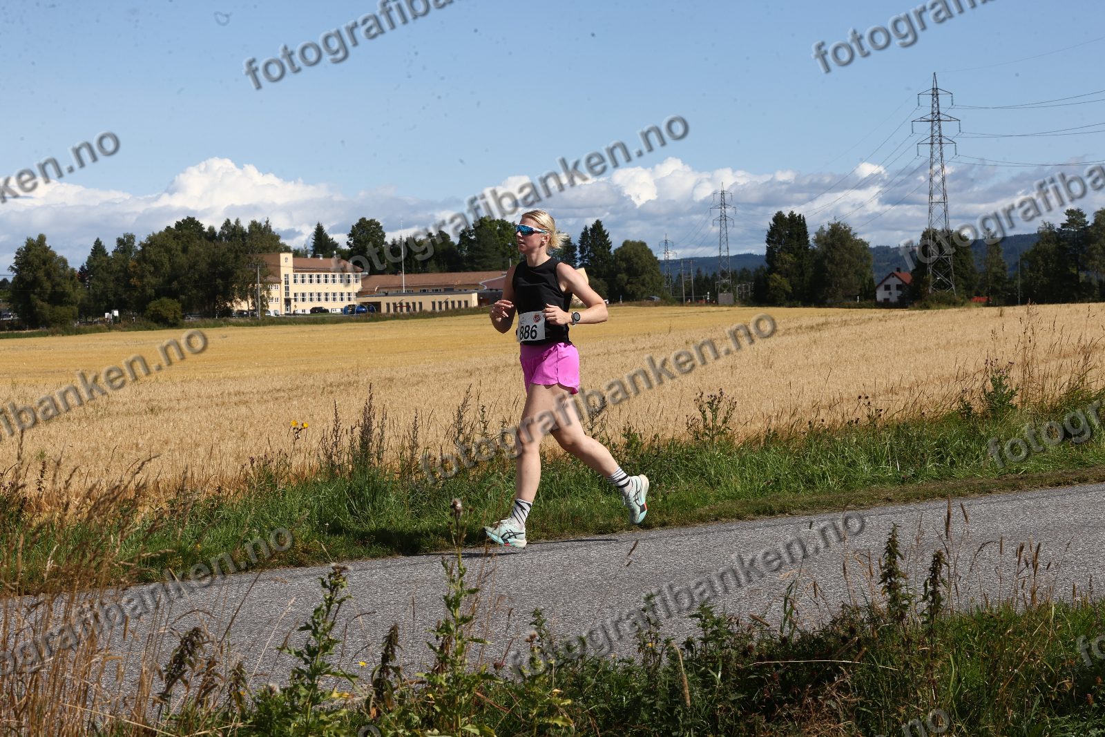 Anne Gundersen (886)