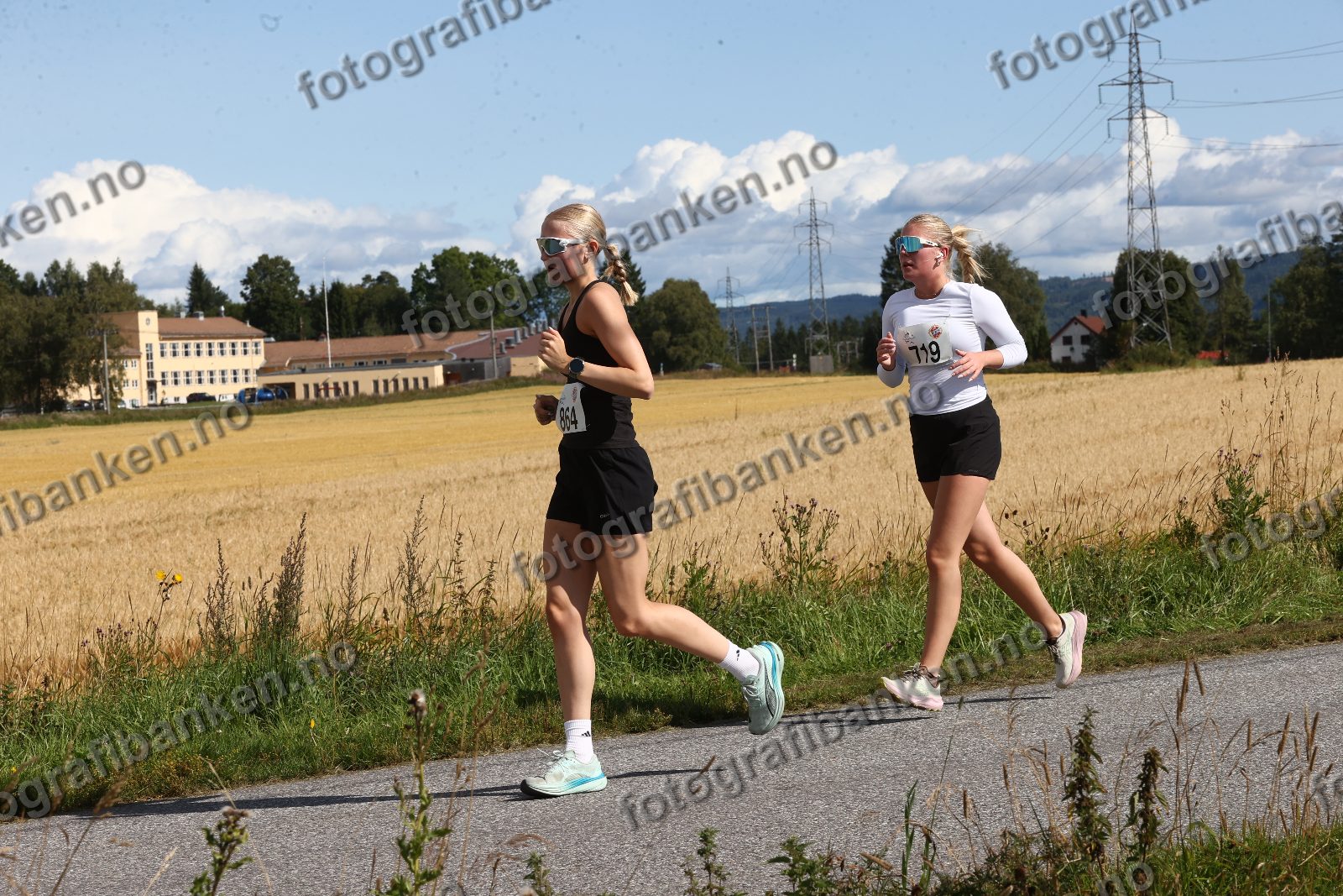 Vilje Finpå (719)