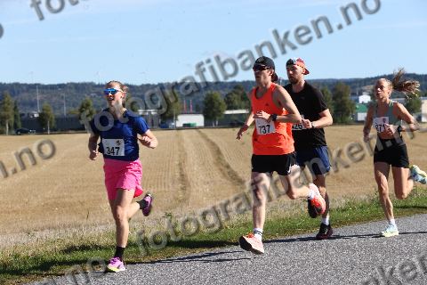 Anders Haugen Skogestad (737) · Markus Vaughan Nilssen (426) · Adele Torvik (347)
