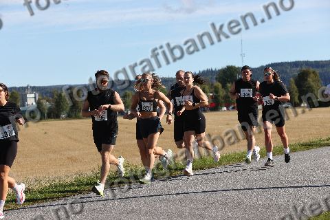 Stine Wangen (332) · Per Øystein Turøy (796) · Solveig Askevold Ulsund (807)
