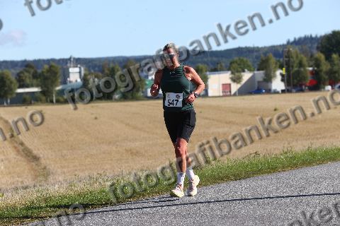 Elin Hansson (547)