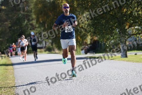 Kashif Weigård Mir (540)