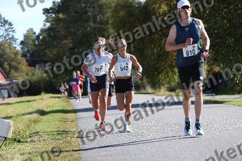 Mourad Touil (810) · Anette Bjerke (542) · Ane Marte Bakke (787)