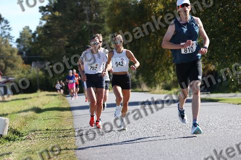 Mourad Touil (810) · Anette Bjerke (542) · Ane Marte Bakke (787)