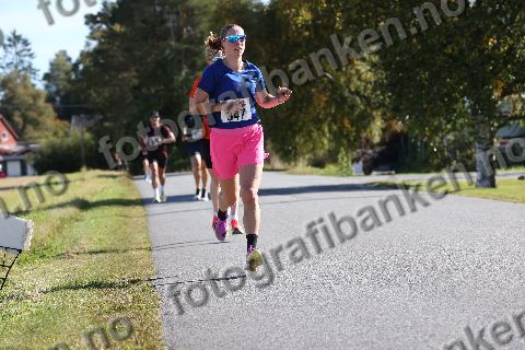 Adele Torvik (347)