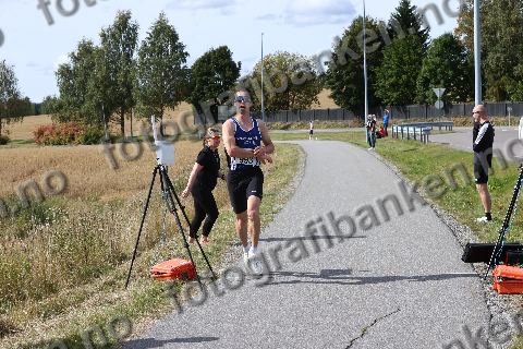 Vebjørn Hovdejord (993)
