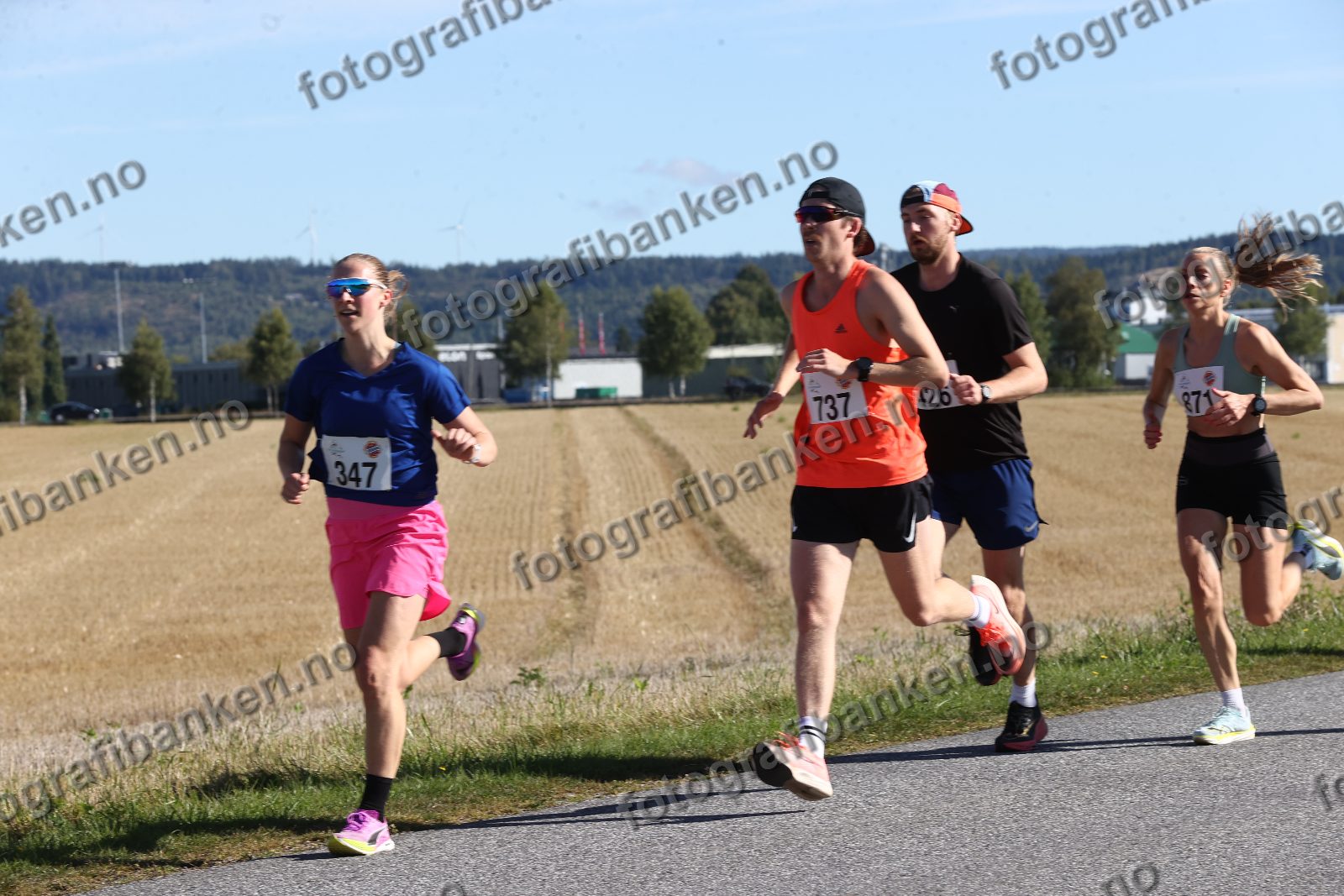 Anders Haugen Skogestad (737) · Markus Vaughan Nilssen (426) · Adele Torvik (347)