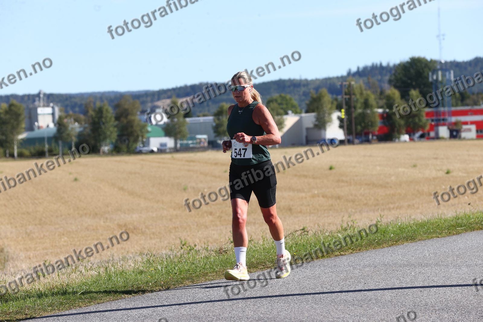 Elin Hansson (547)