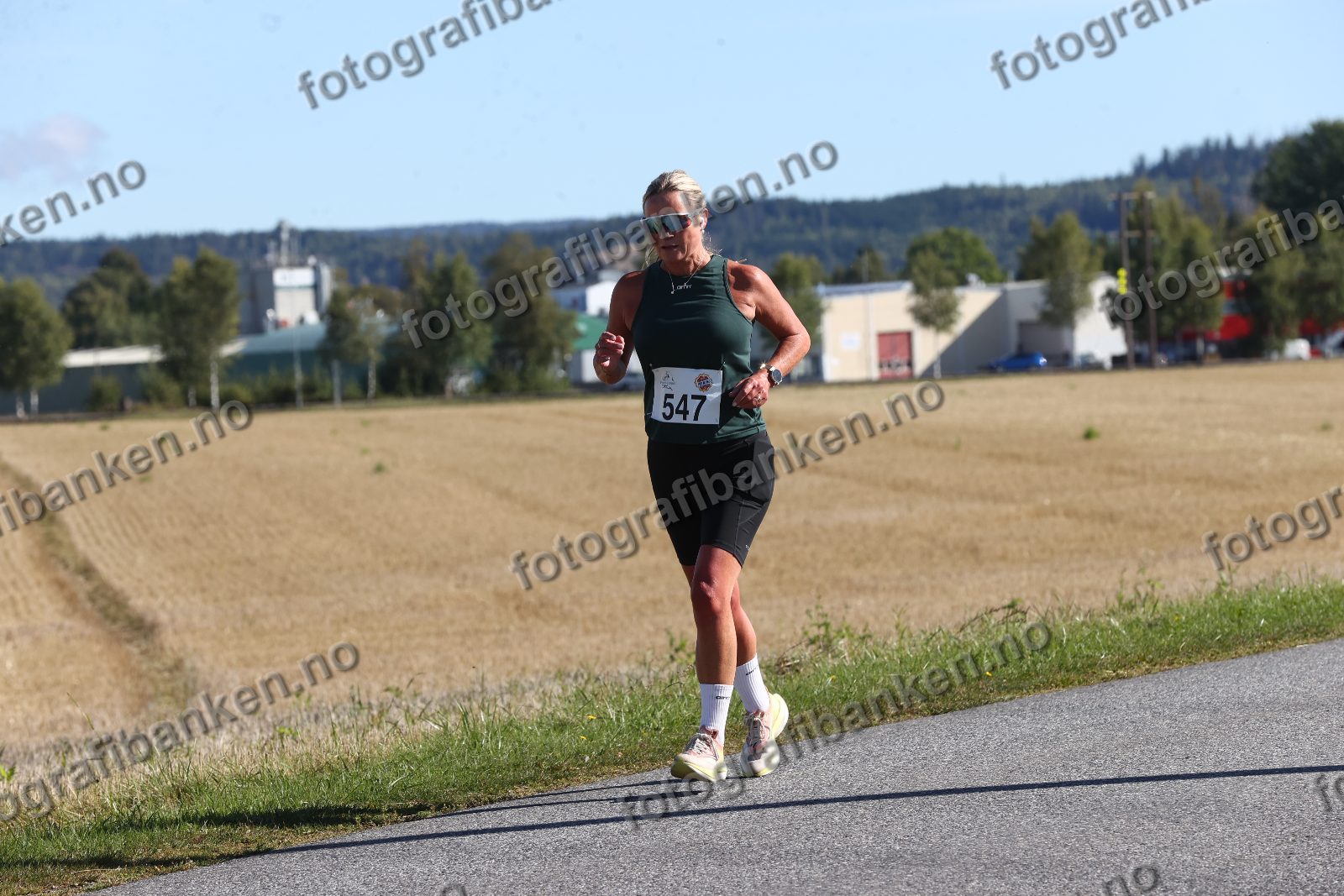 Elin Hansson (547)