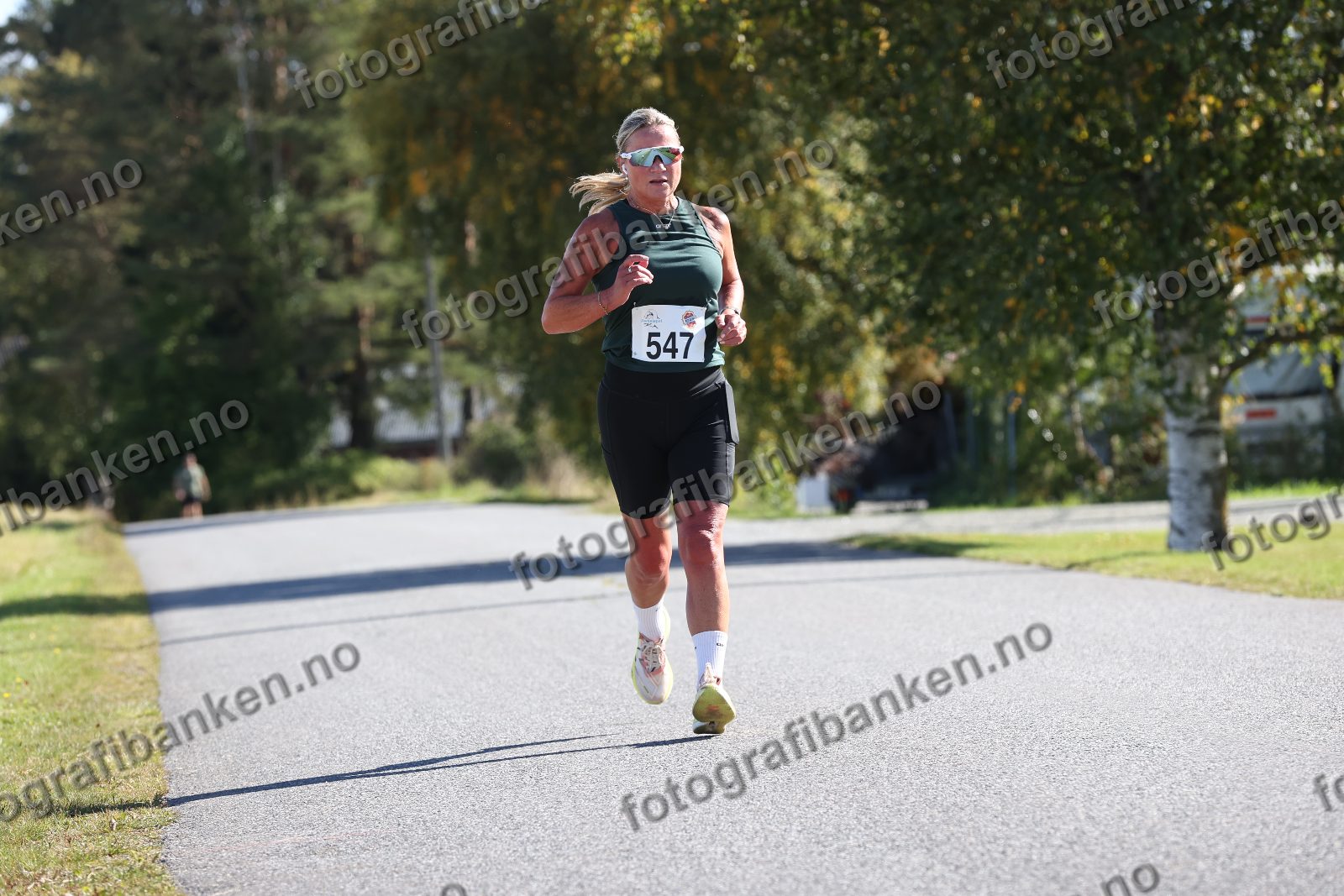 Elin Hansson (547)
