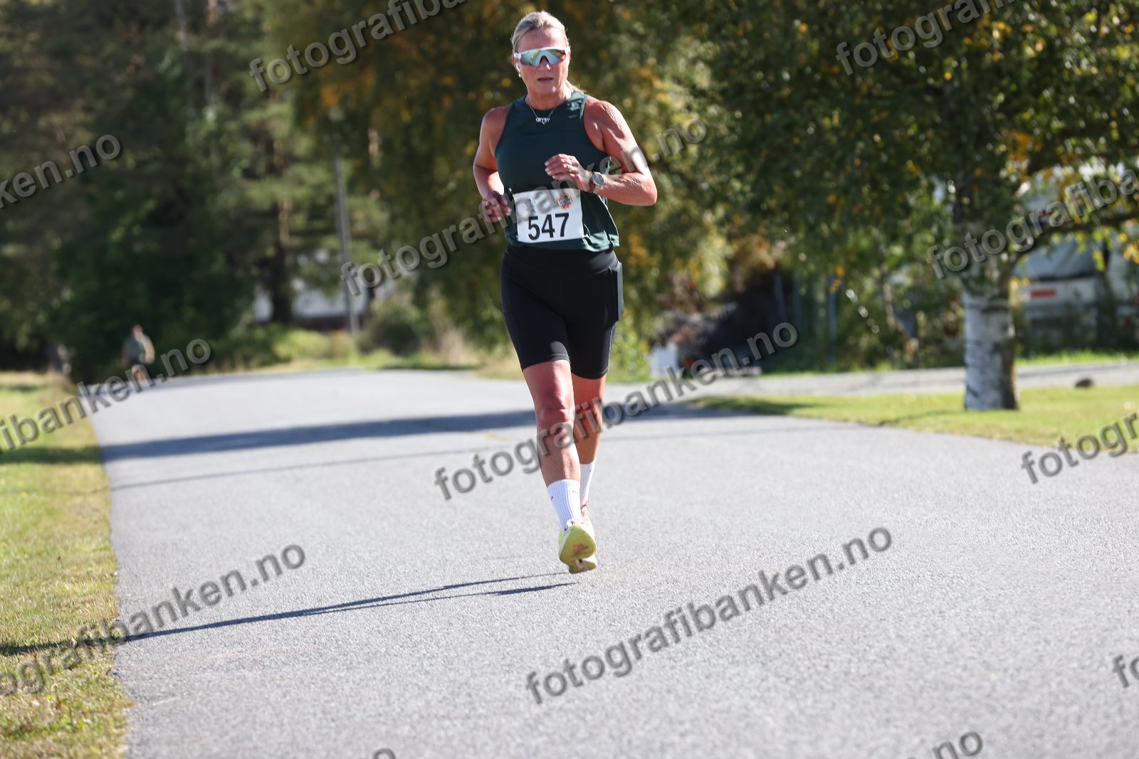 Elin Hansson (547)